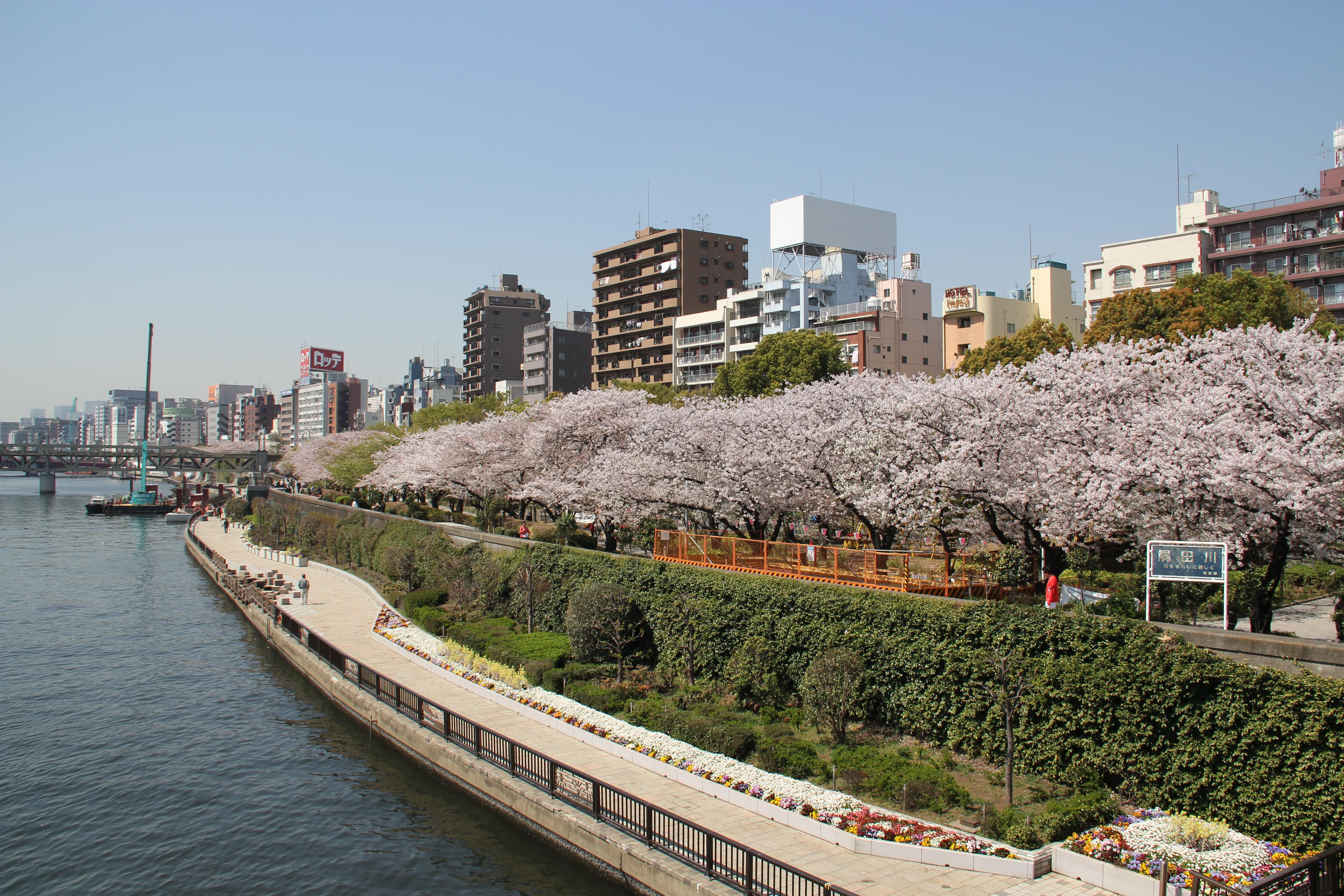 Sumida Park, Tokyo