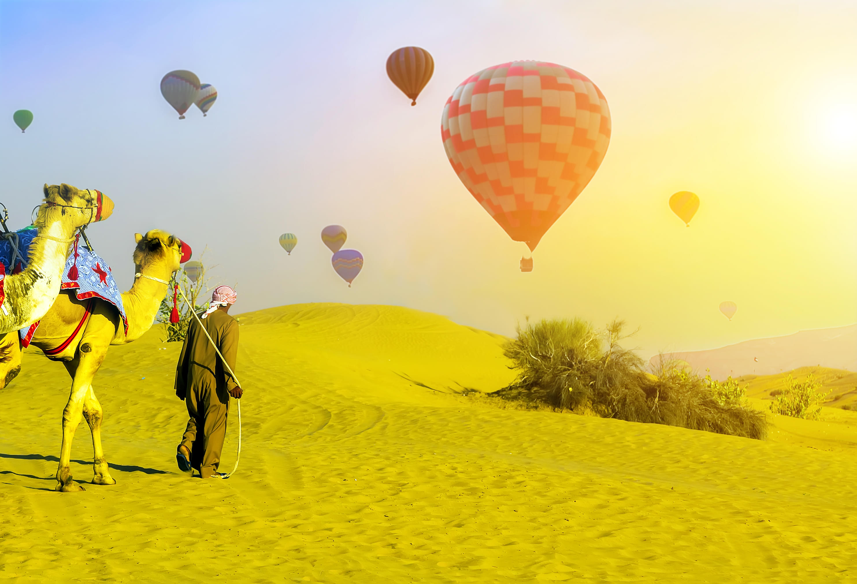 Balloon flies over the desert during Dubai balloon festival with a camel in the background