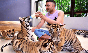 Pcn1cg8yx8pr6irx94w8khuxbqf3 lkyftr