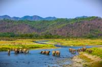 delhi-nainital-corbett-tour-package