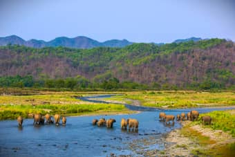 Explore Uttarakhand | Trail to the Wildlife
