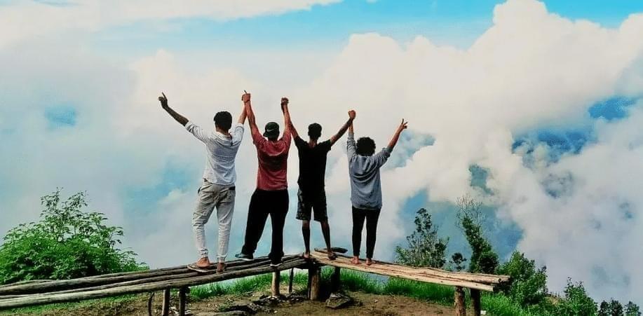 Activities In & Around Kochi