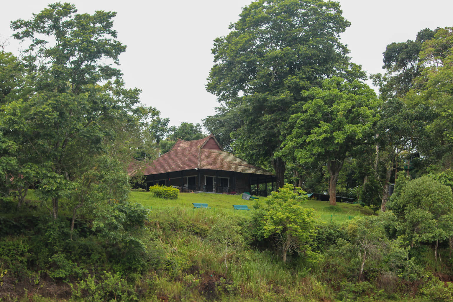 Periyar National Park Safari