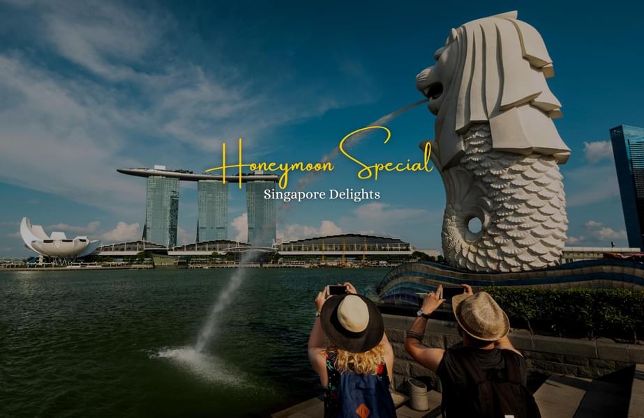 Honeymoon Special - Singapore Delight Image