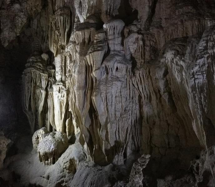 Day Trip to Limestone Caves at Baratang Island Image