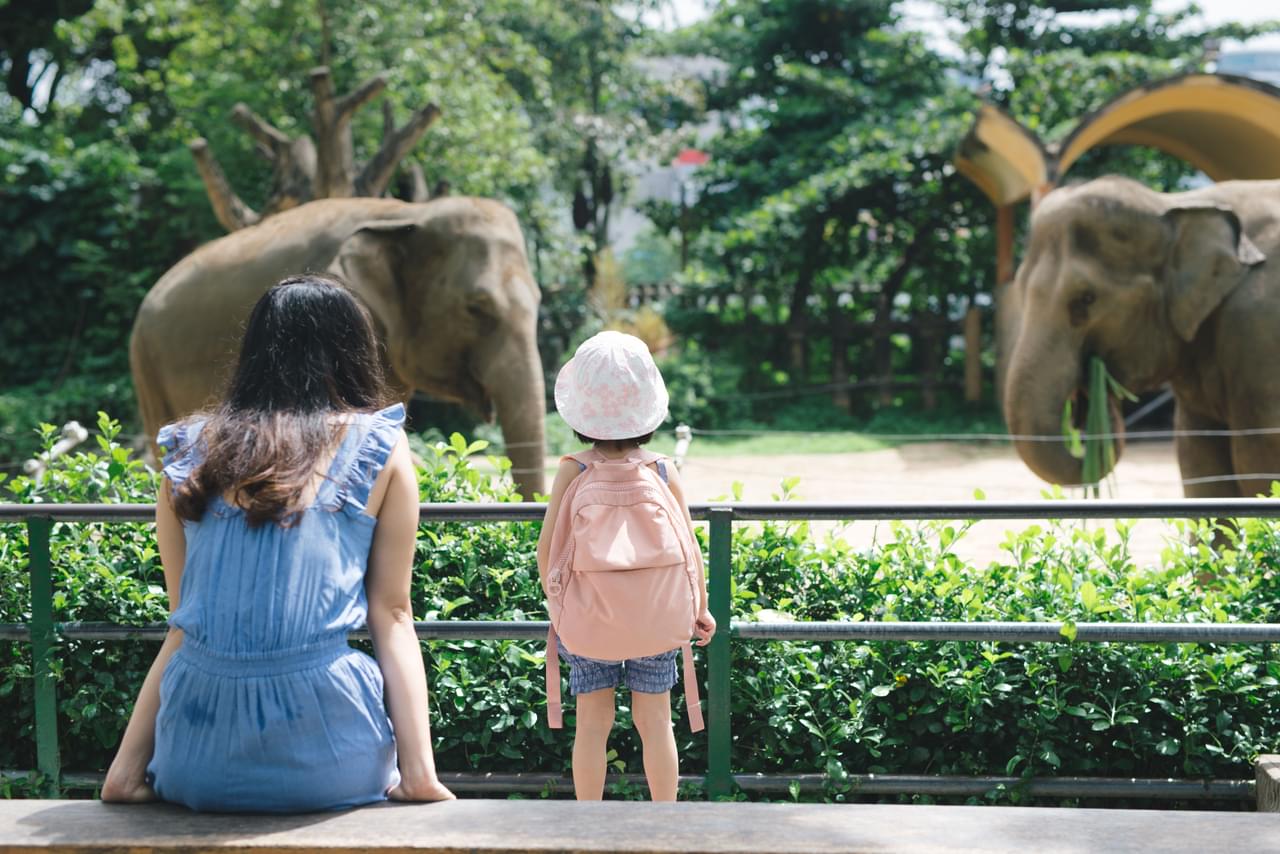 Singapore Zoo