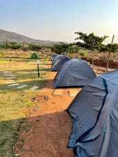 Pdyoh5nb6223i263ymkj5furebcb img 3554