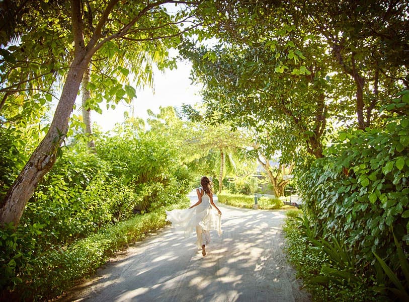 Lux South Ari Atoll Resort & Villas, Maldives Image