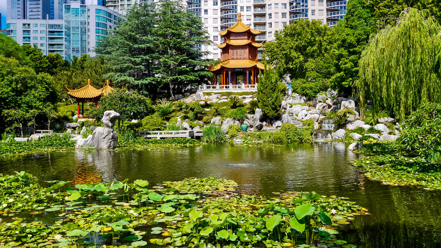 Chinese Garden , <em>Zurich</em>