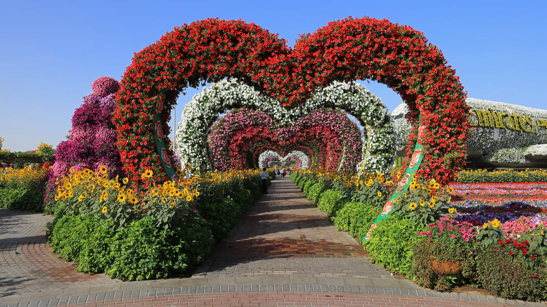 Heart Tunnel In Miracle Garden