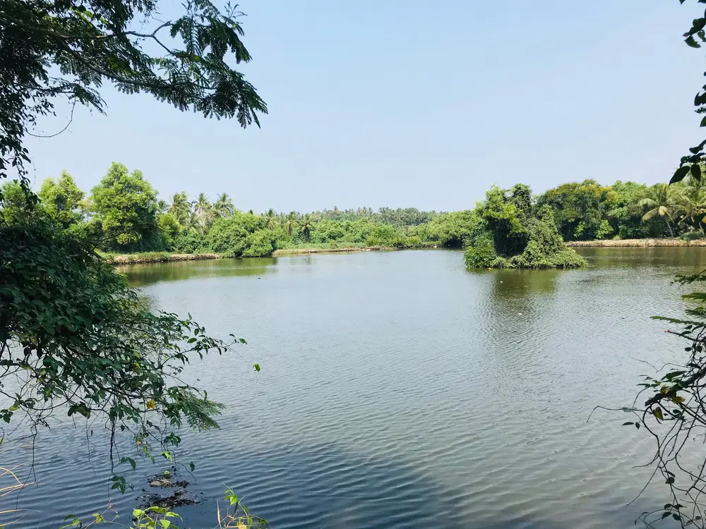 Kalipoika