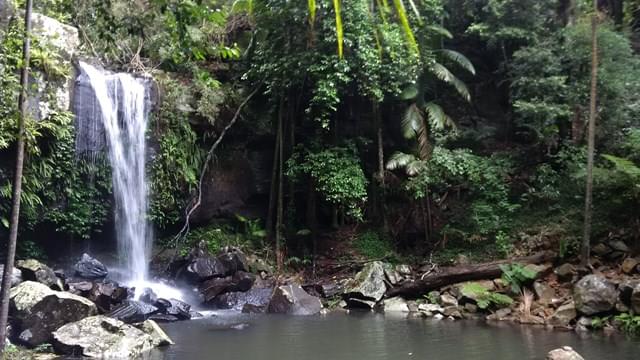 Admire the Curtis Falls