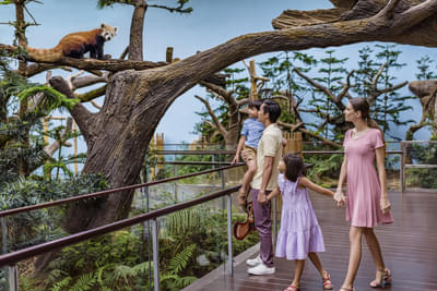 [Open Dated] 2-in-1 Park-Hopper: River Wonders + Singapore Zoo Admission Ticket