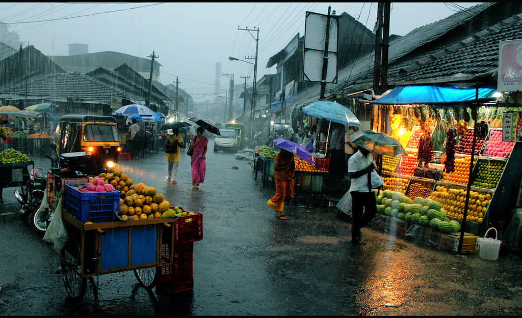 The Fort Road Market, <em>Kannur</em>