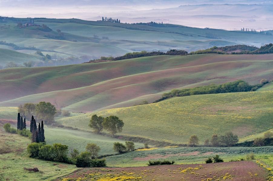 Montalcino, Orcia Valley, Pienza, and Montepulciano: Wine- and Cheese-Tasting Guided Tour from Florence