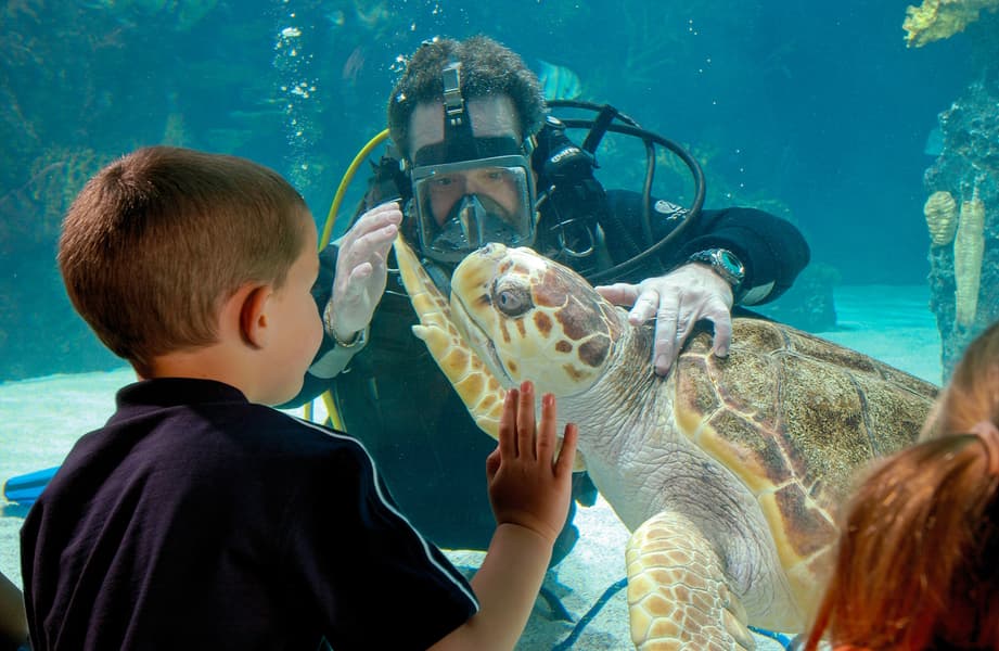 Newport Aquarium Tickets Image