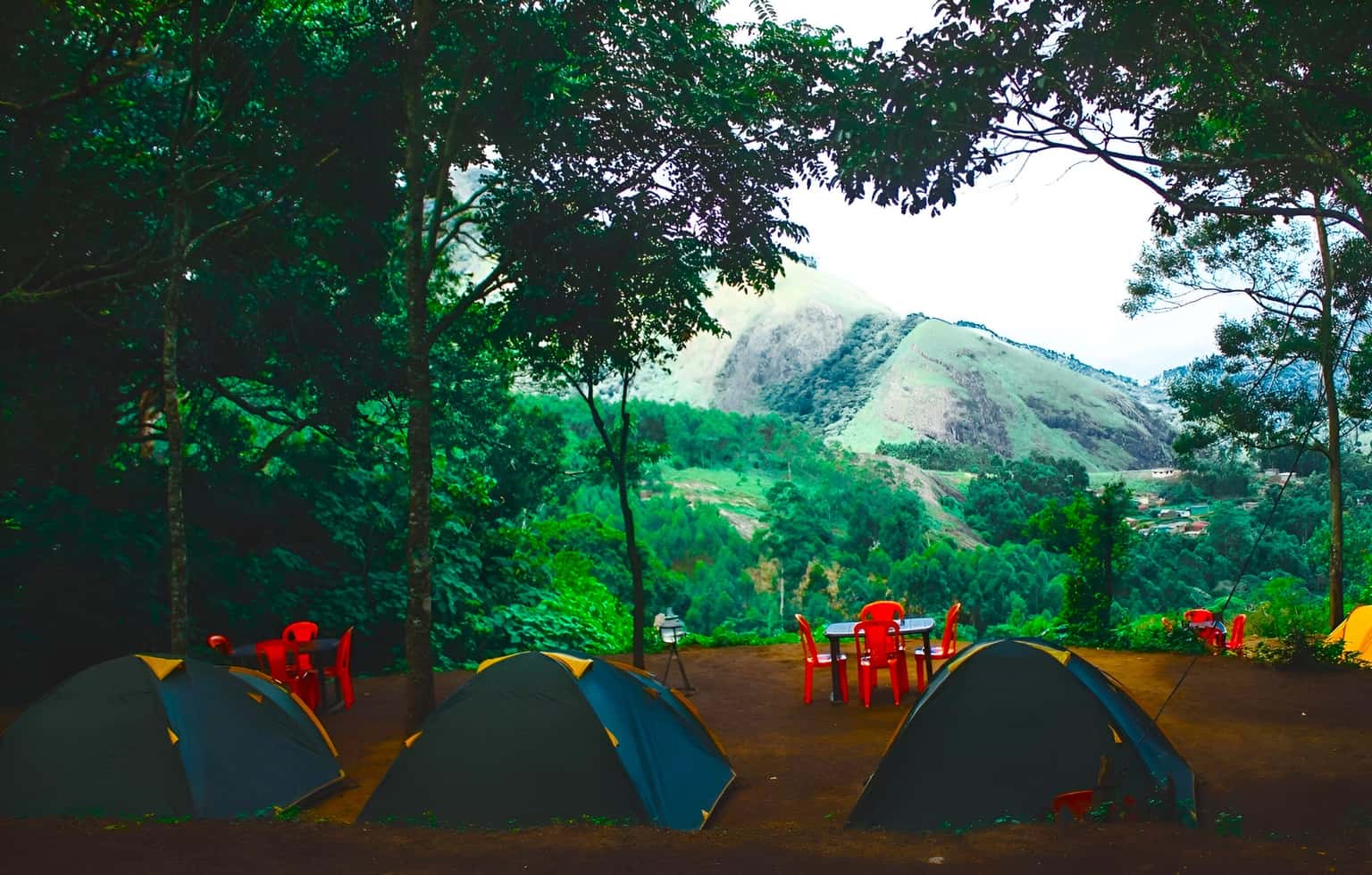 Camping in Munnar with Sunrise Jeep Safari
