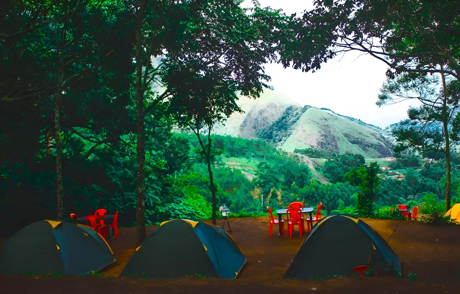 Camping in Munnar with Sunrise Jeep Safari