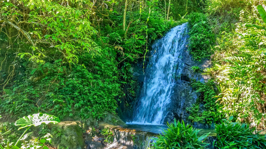 Adventure Hike To Tai Mo Shan Waterfall Image