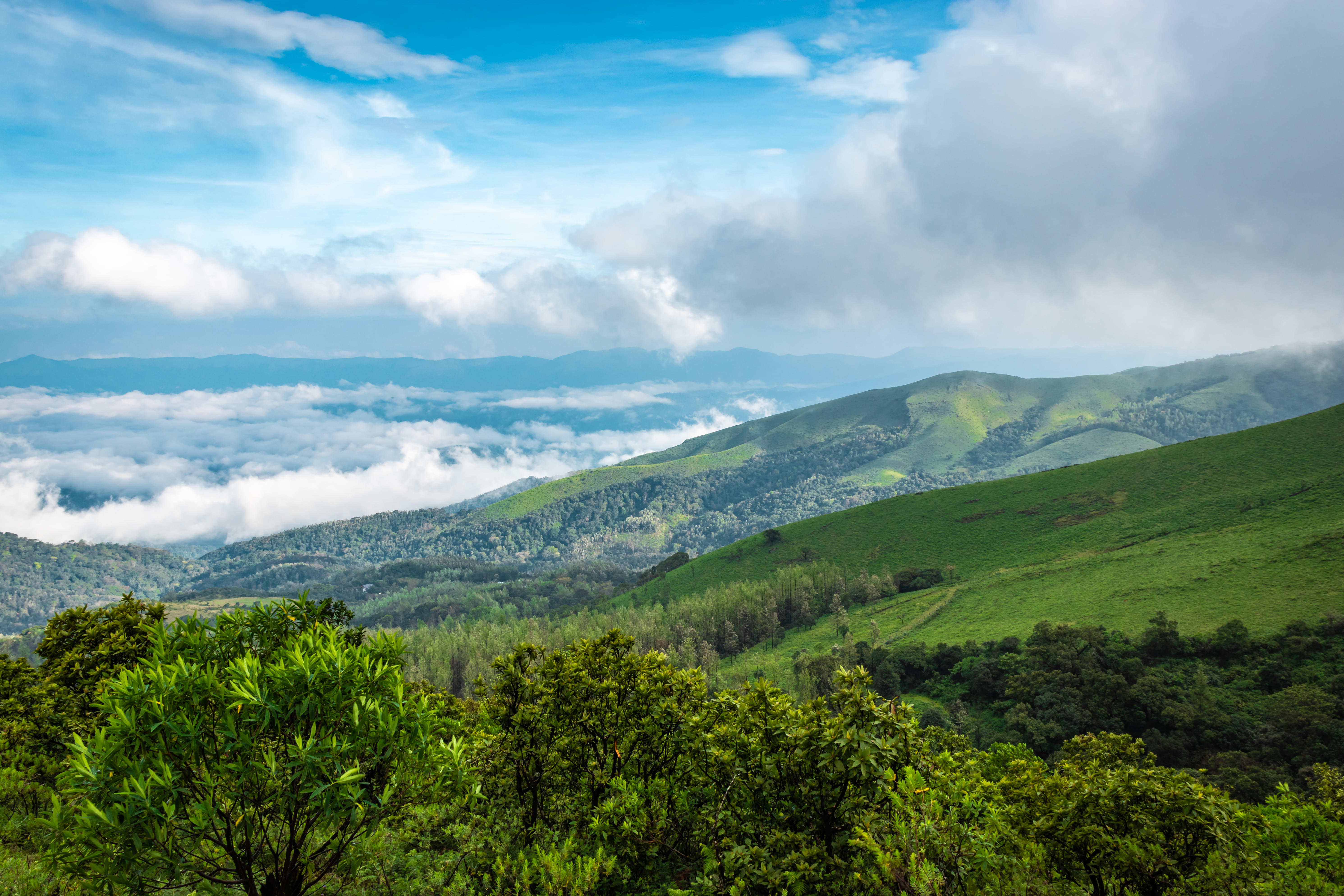 Tadiandamol Trek, Coorg