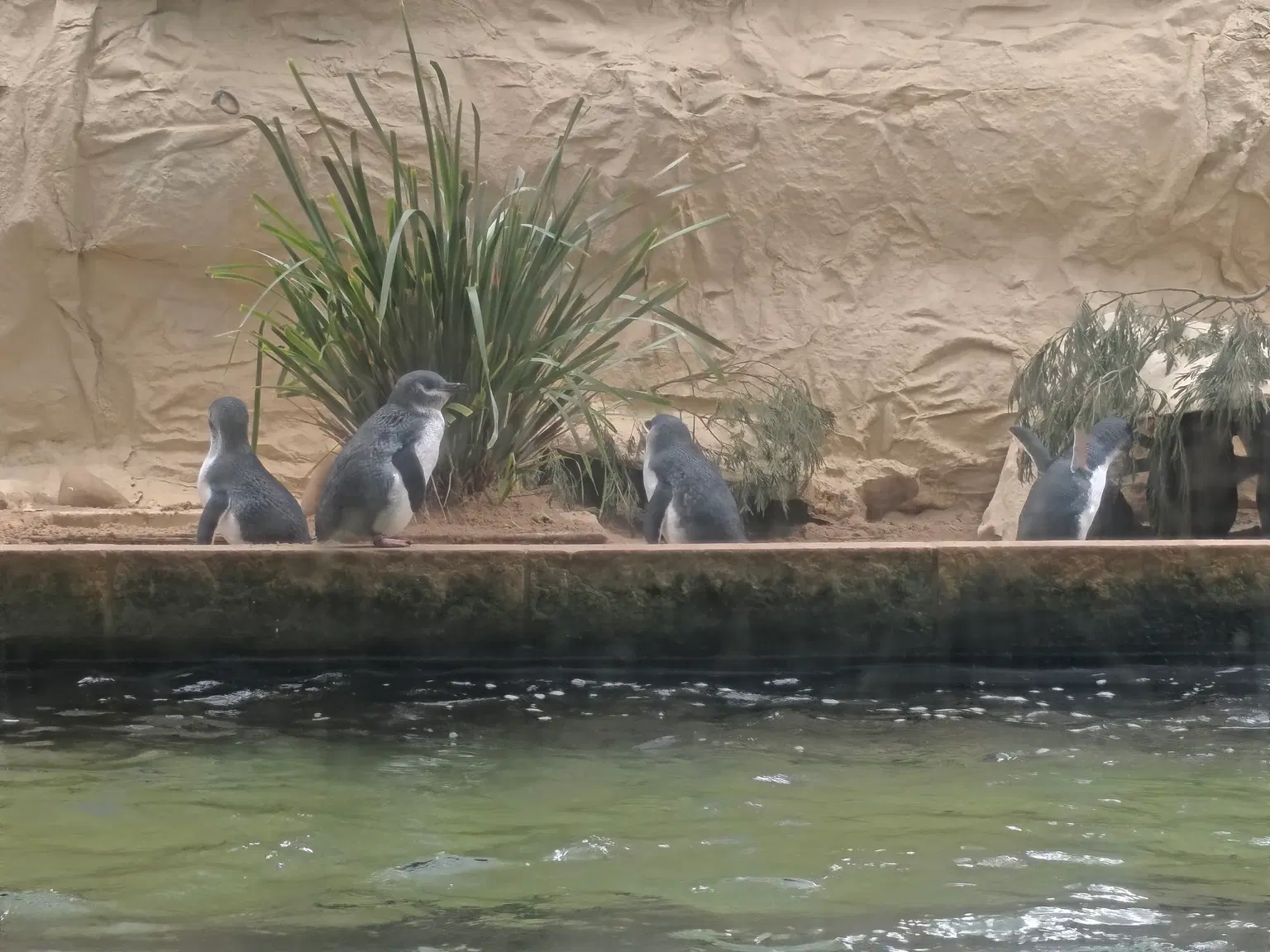 Photo from Samuel 's trip