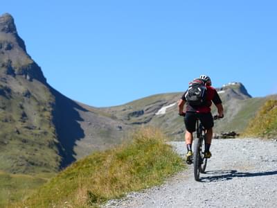 Enjoy mountain cycling at, Grindelwald,