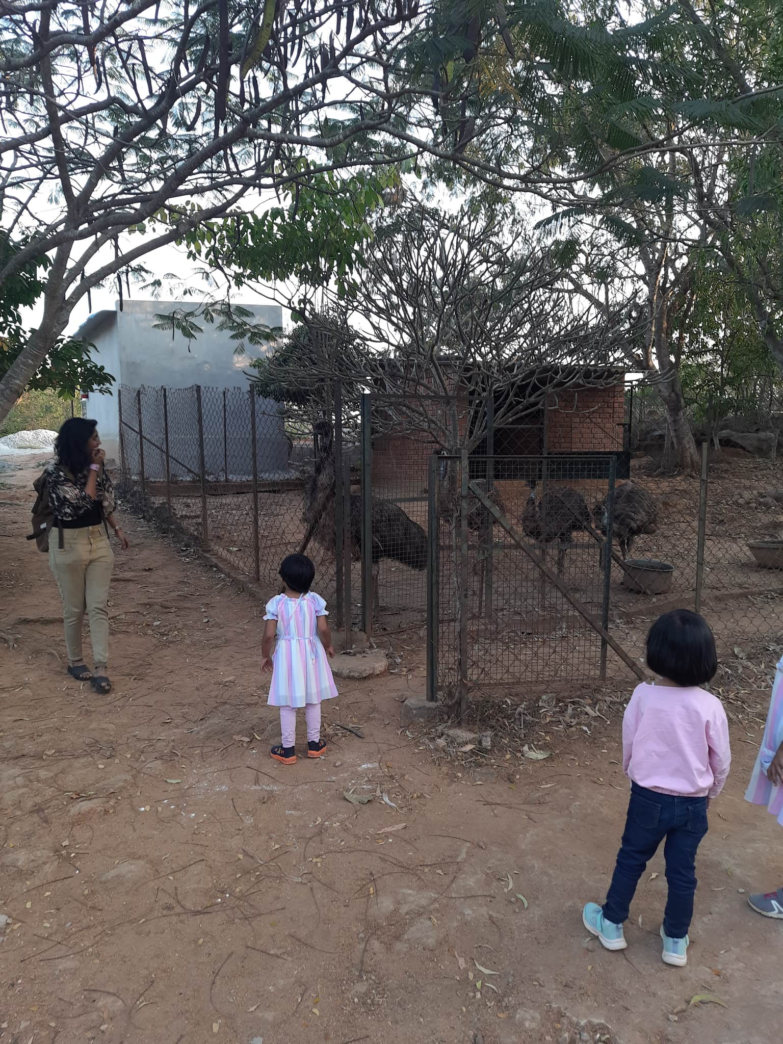 Photo from Sajit M's trip