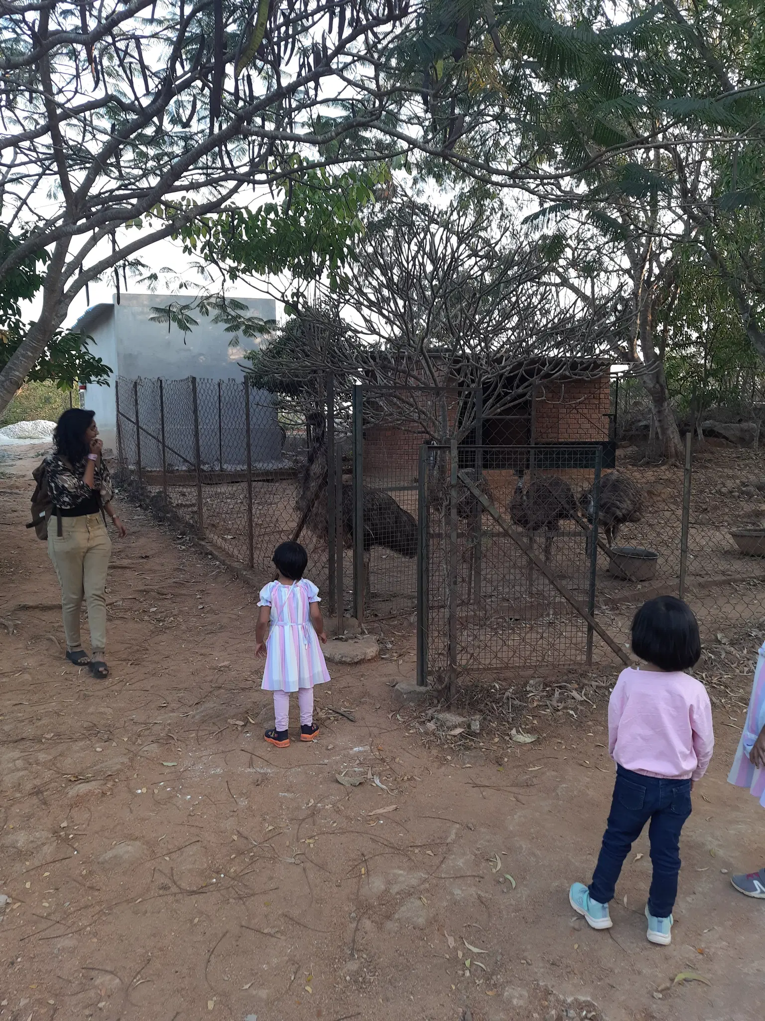 Photo from Sajit M's trip