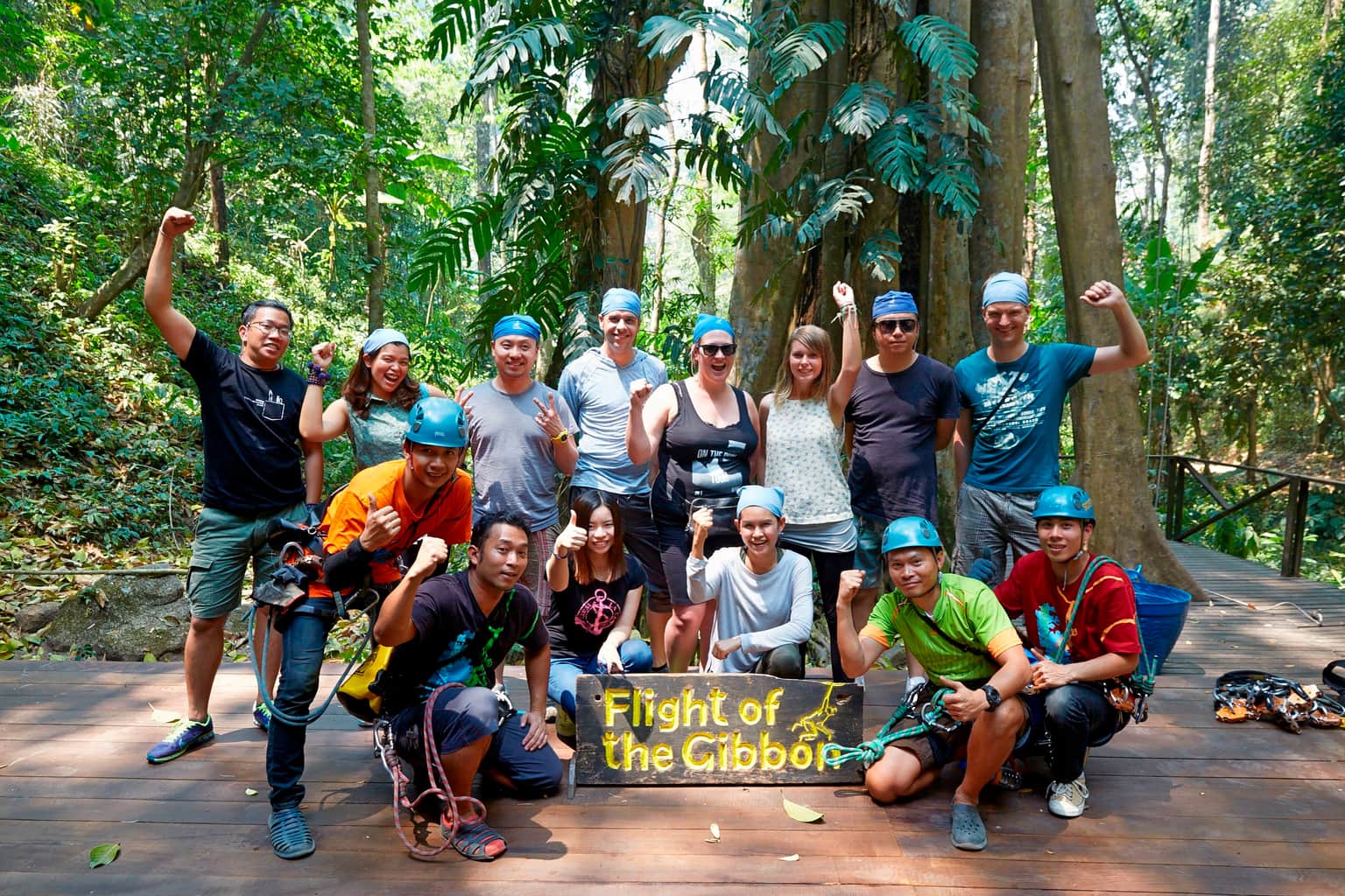 Flight of the Gibbon