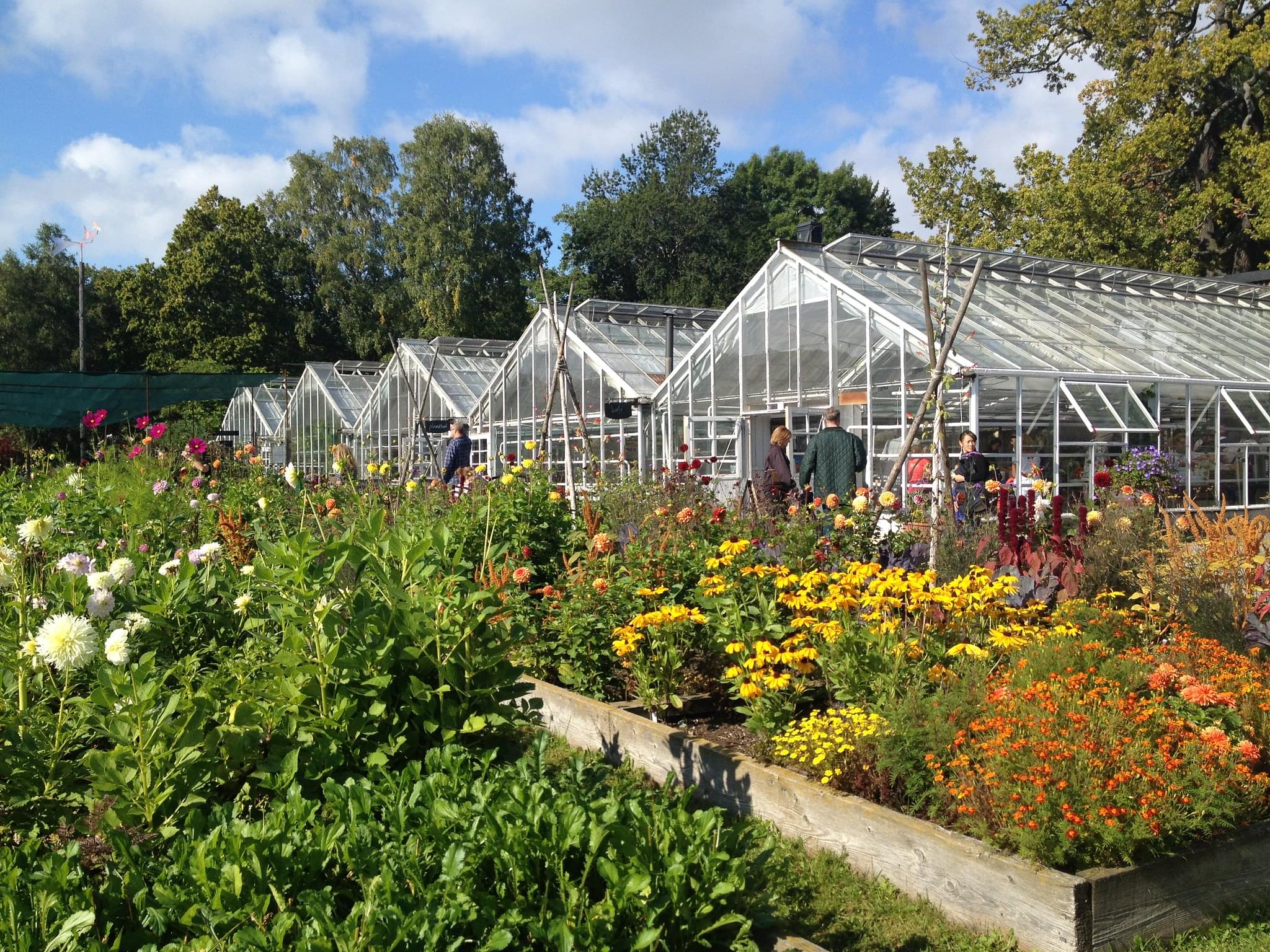 Get insights about horticulture and sustainability at the Rosendals Trädgård