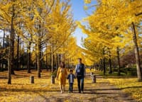 romantic-escapade-kashmir-honeymoon-tour-package