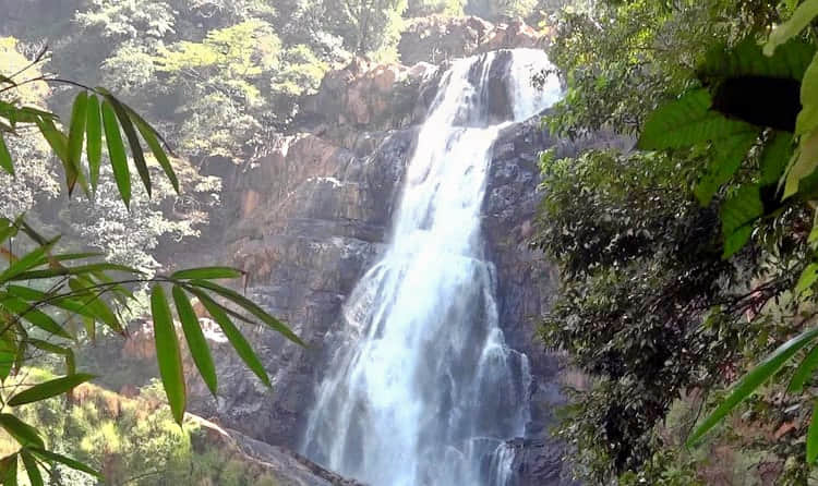Burude Falls, <em>Coorg</em>