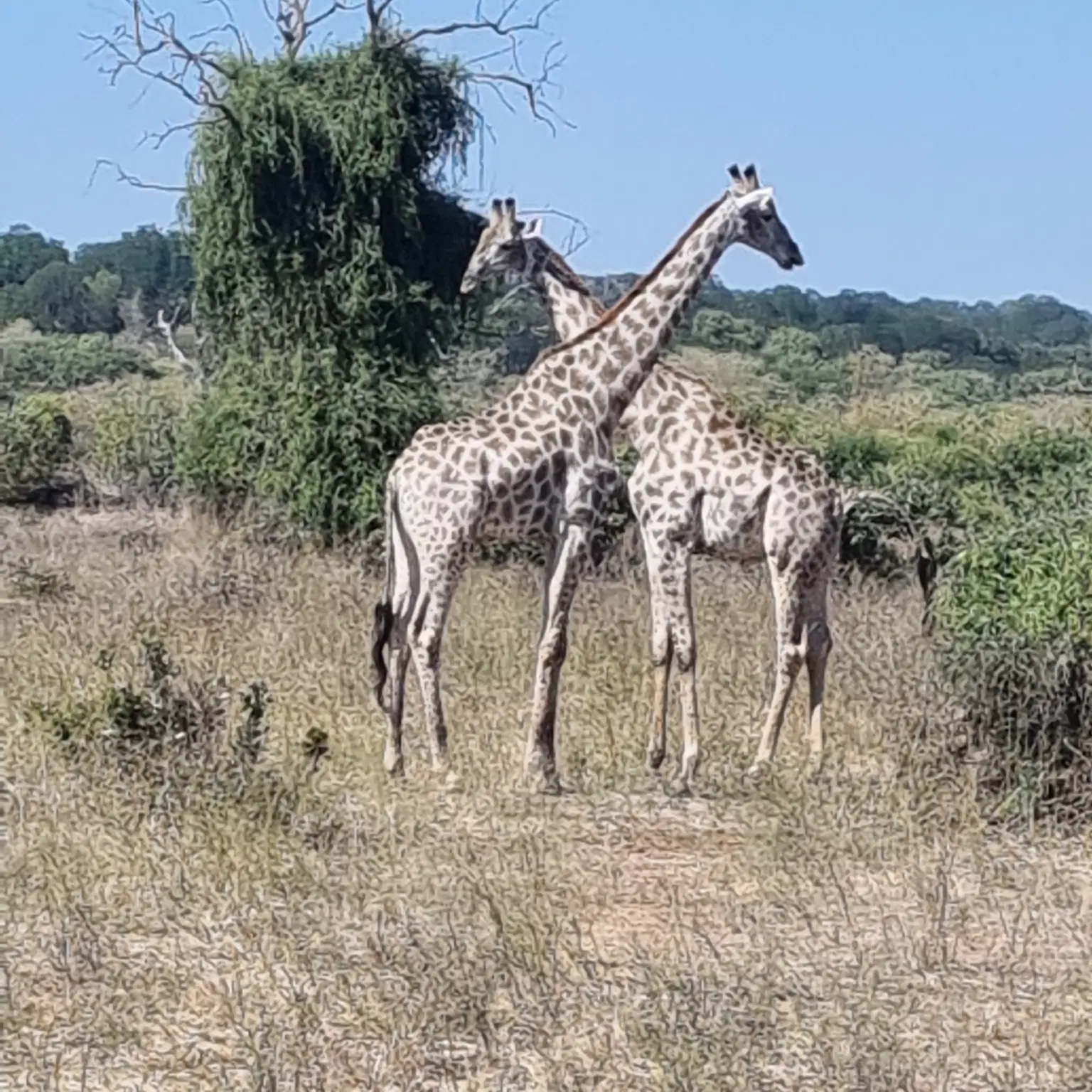 Photo from Nalin Bhatia's trip
