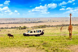 Pje8my3sy85zxushkkhvm25d3sei shutterstock 1923875123