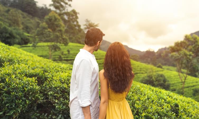 Couple admiring the beauty of Munnar