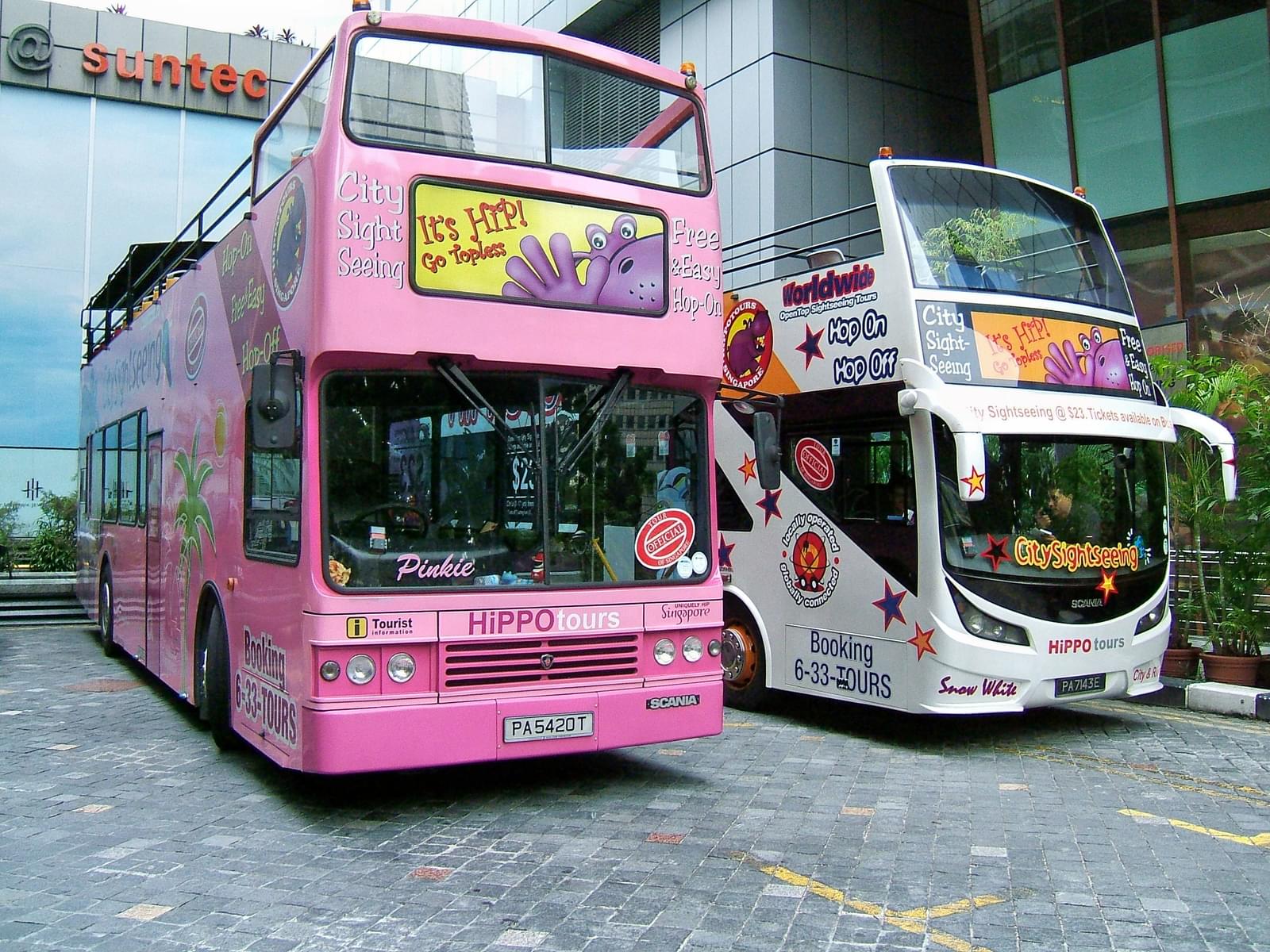 Big Bus Singapore Night City Tour