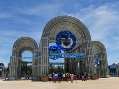Visit SeaWorld San Antonio and get a chance to ride on marine themed rides