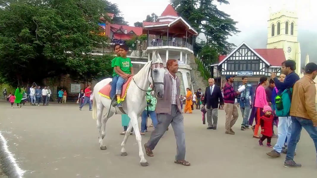 Horse Riding In Shimla Image