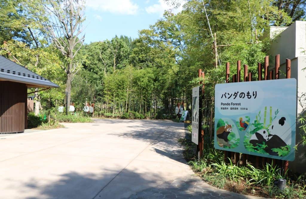 Visit the Gorilla Woods and the Tiger Forest
