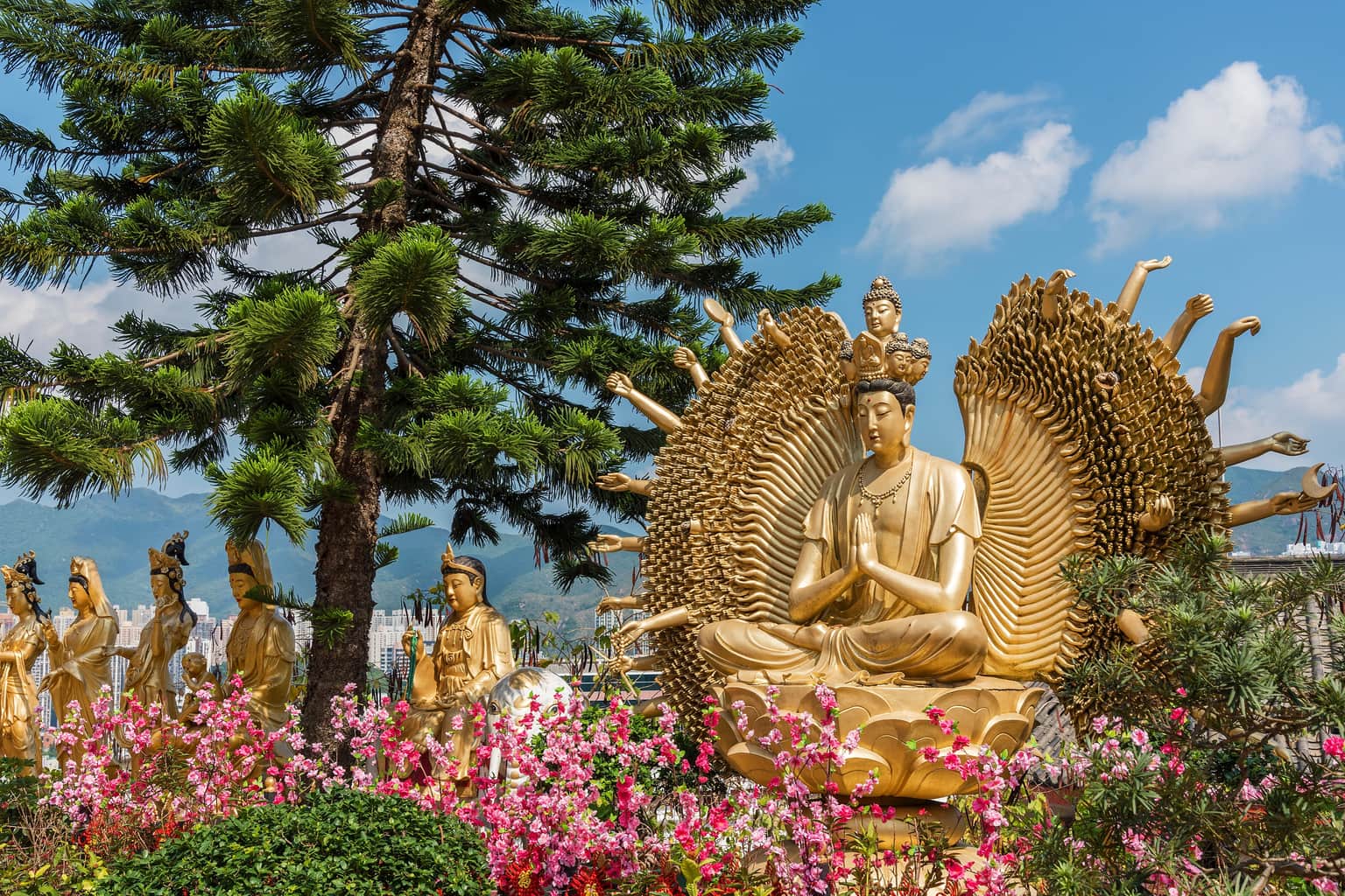 <em>Hong Kong</em> Tour Packages From Raipur