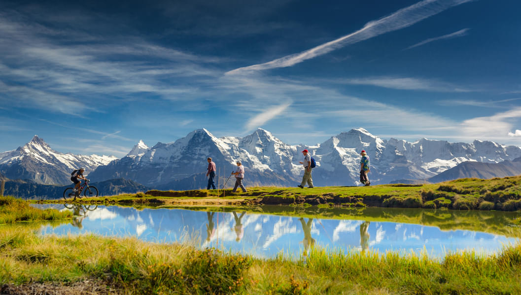 Escape to a world of natural beauty and Alpine serenity on this day trip from Zurich