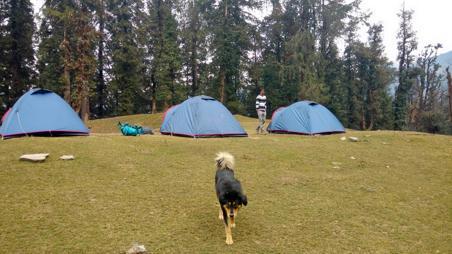 Photo from Vasudeva Shah's trip