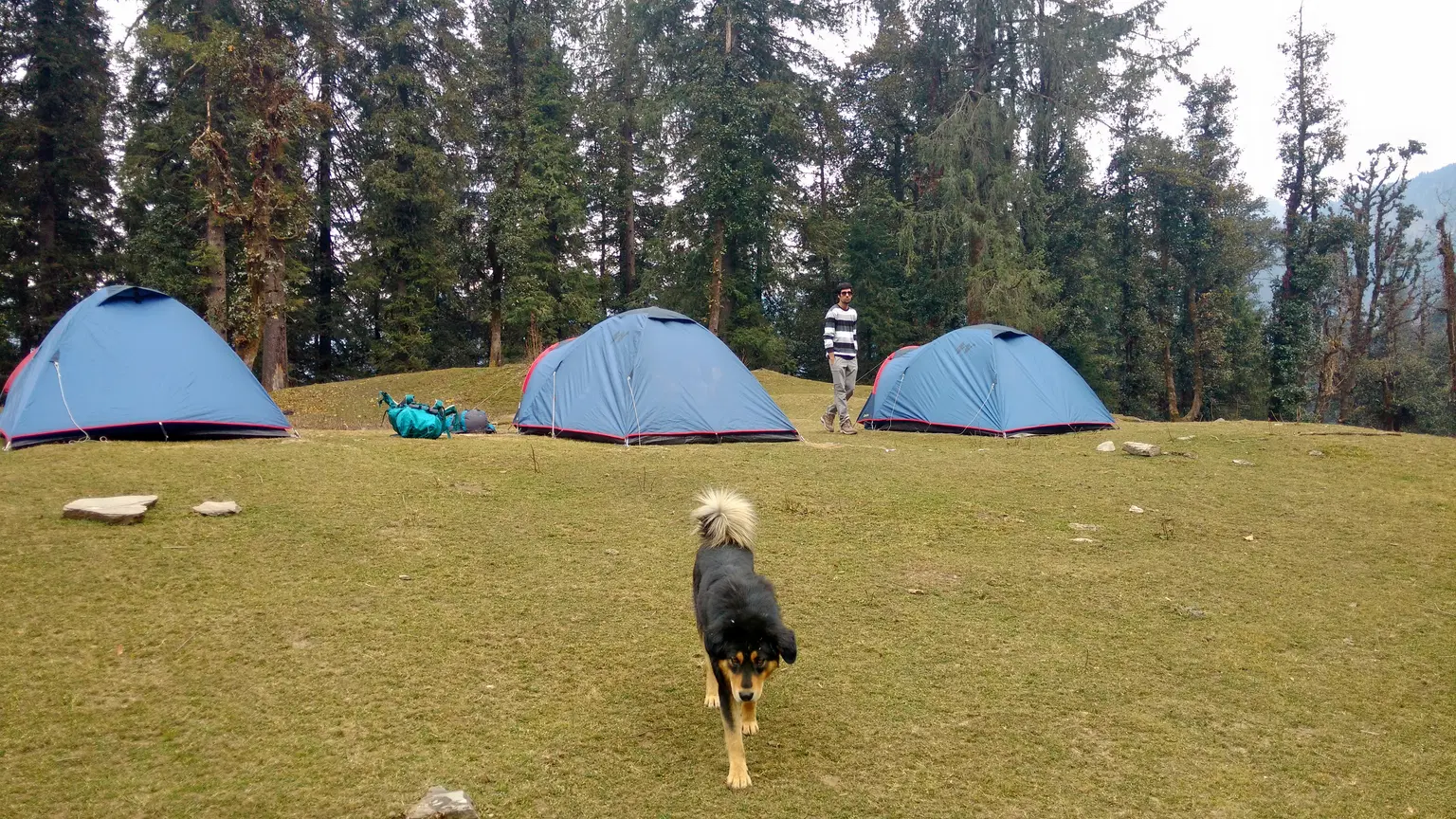 Photo from Vasudeva Shah's trip