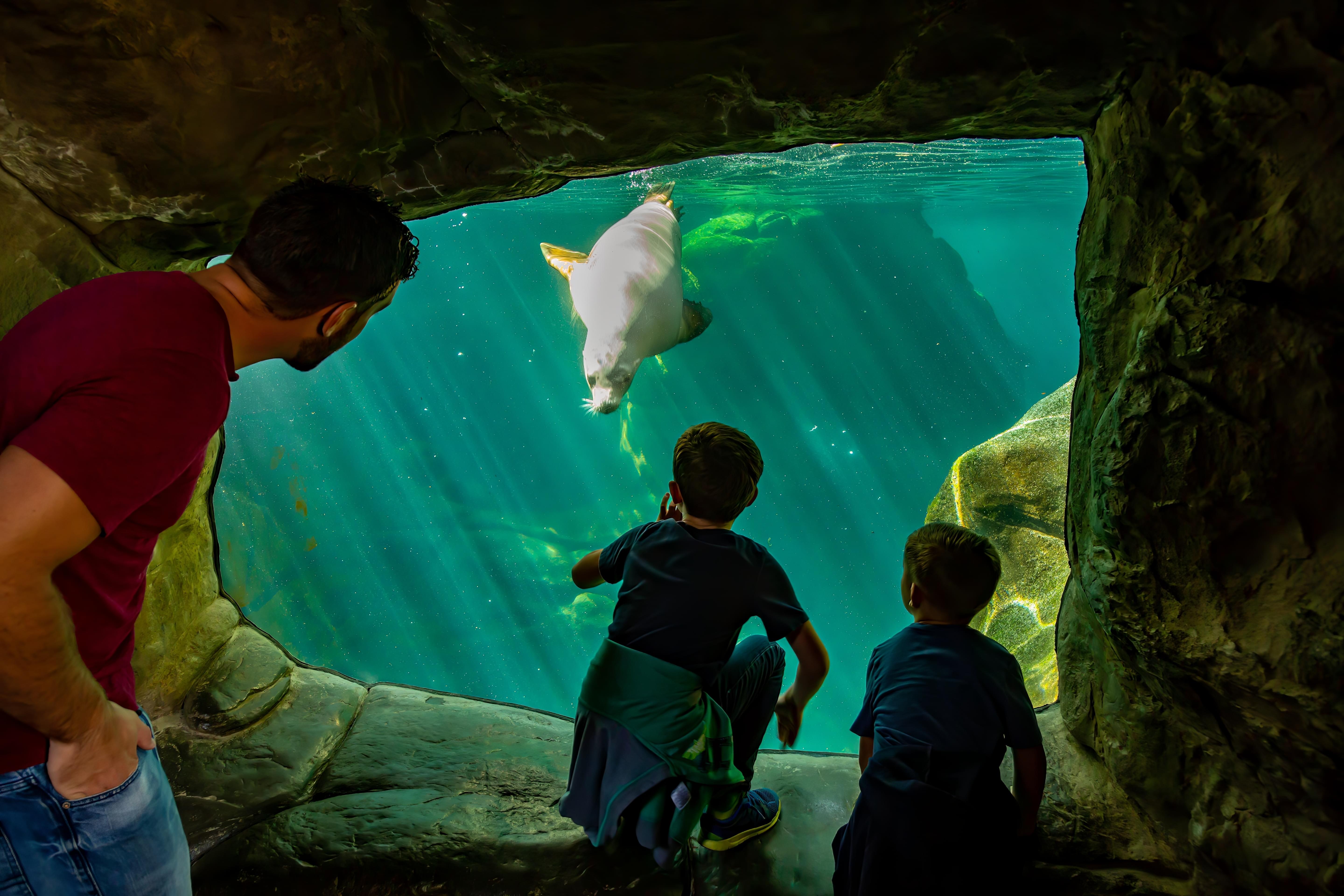 Newport Aquarium