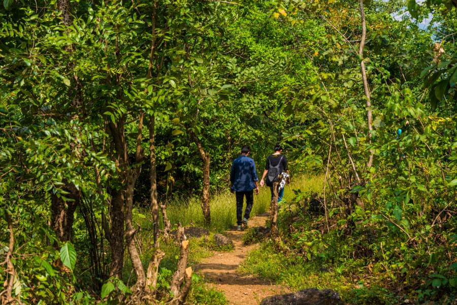 Devkund Waterfall Trek Image