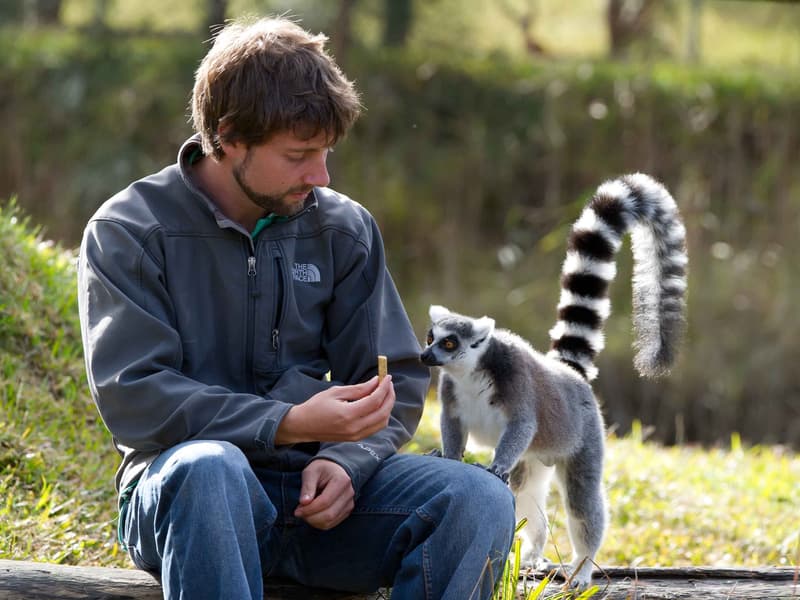 Mogo Wildlife Park Sydney Tickets Image