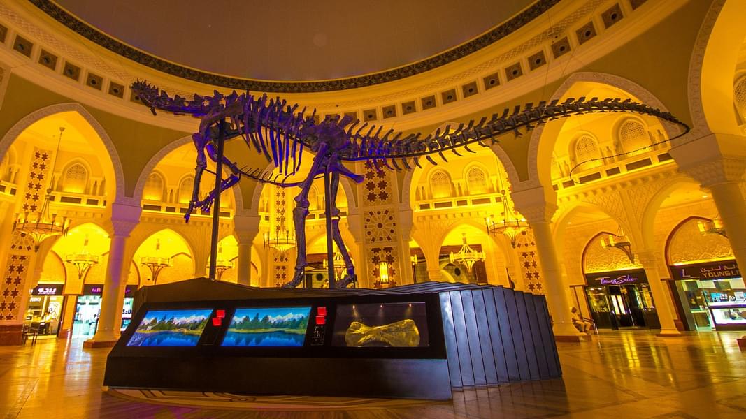 Take In The Sight Of Massive Dinosaur Skeleton At Dubai Dino