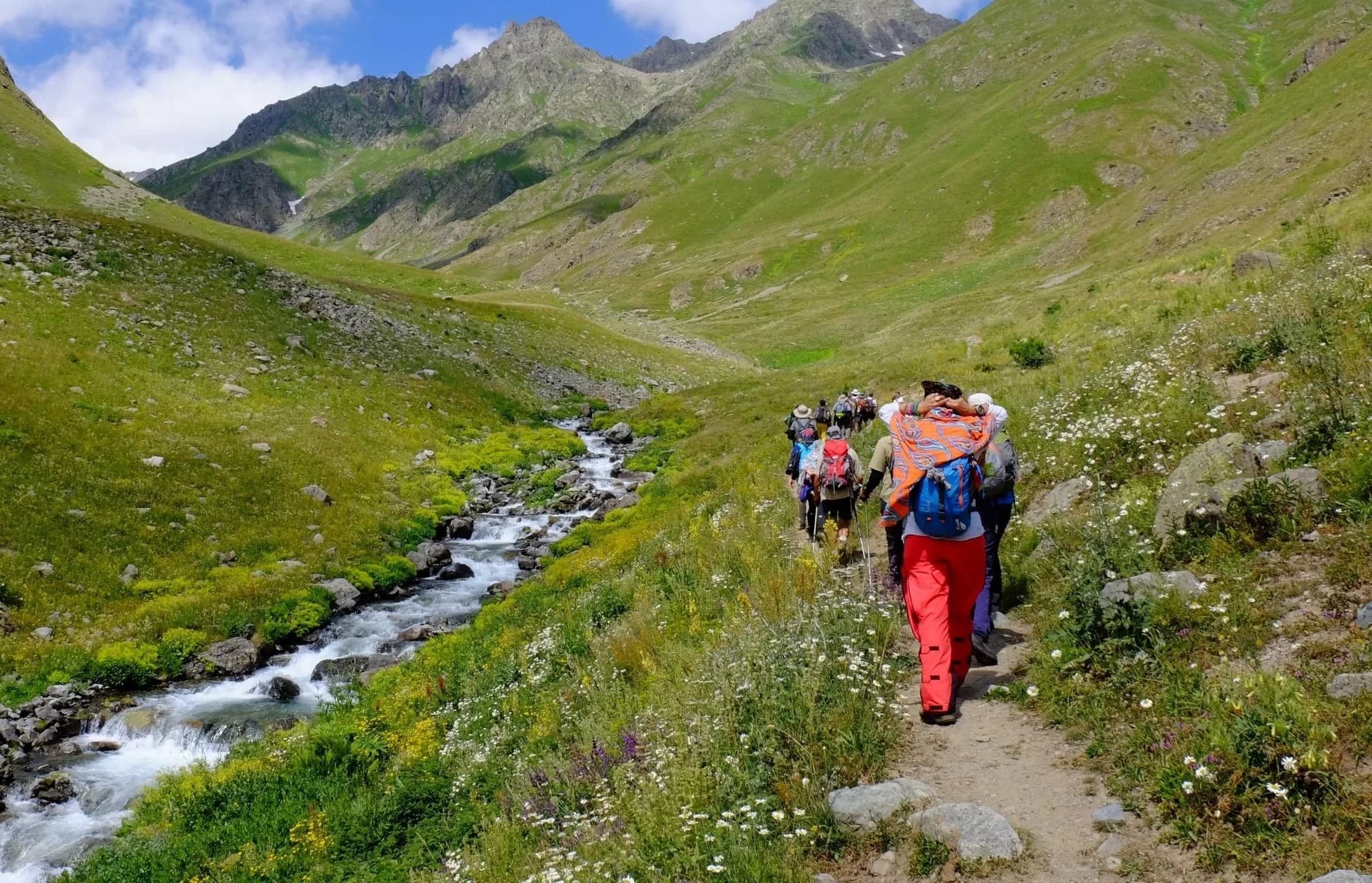 Himachal mountains