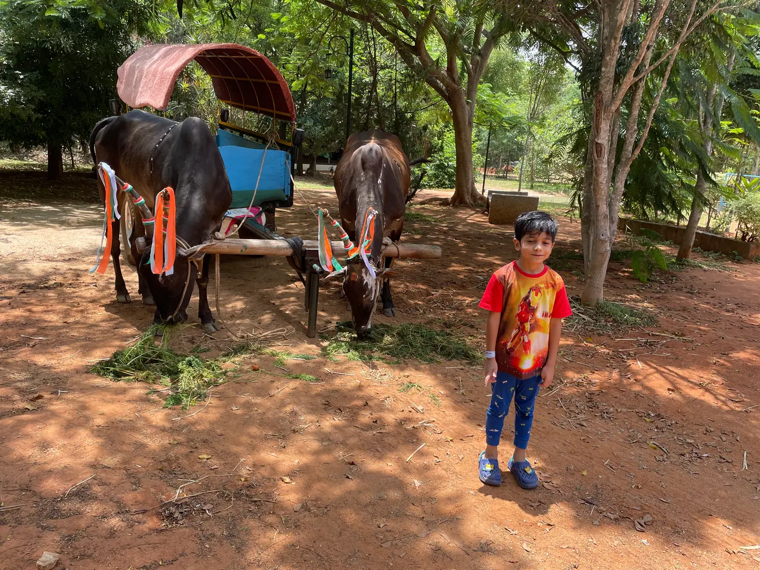 Photo from Anandhi Iyer's trip