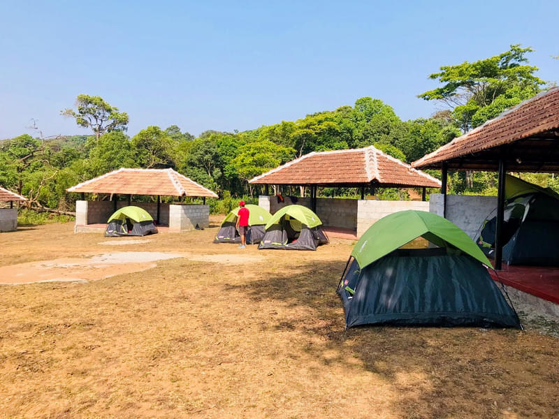Nature Camping Experience In Coorg Image